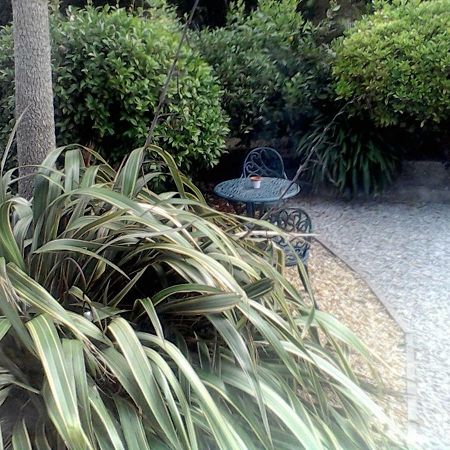 Baytree B&B Charlestown  Buitenkant foto