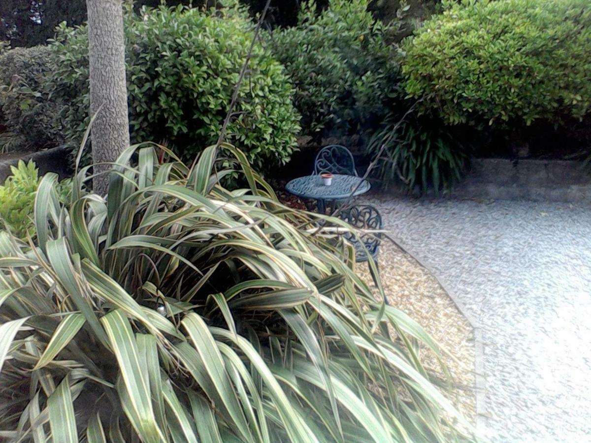 Baytree B&B Charlestown  Buitenkant foto