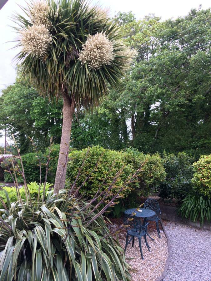 Baytree B&B Charlestown  Buitenkant foto
